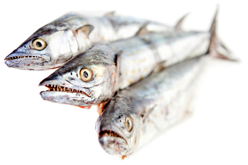 Raw frozen fish - isolated over a white background