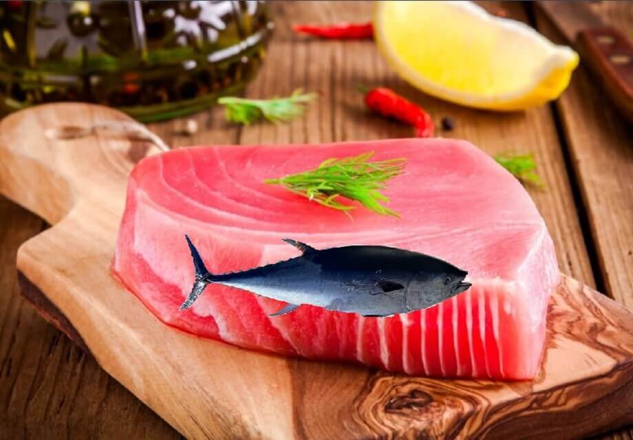 tuna steak with a tuna