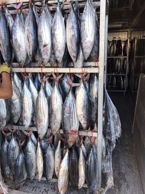 TUNA trolley_3
