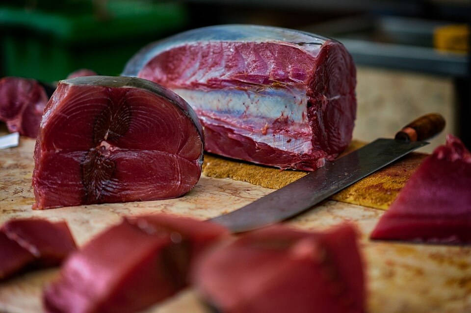 tuna03